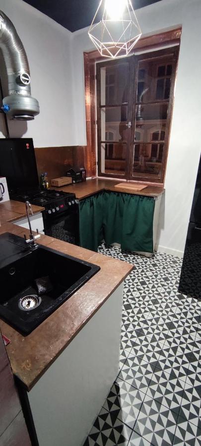 Private Apartament Wroniecka 6 - Parking بوزنان المظهر الخارجي الصورة